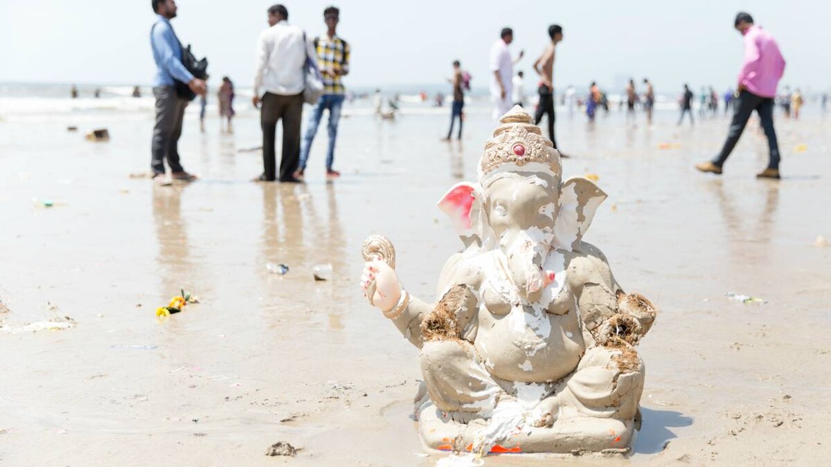 The price of our ignorance: Repercurssions of the idol immersions on Mumbai's coast