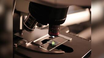 Scientists find the master switch that turns on inflammation: This may help them find a way to manage chronic lung infections in future