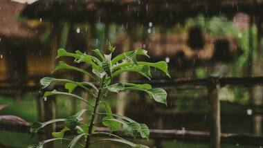 From outdoor furniture to bright room colours: Here are 5 home decor ideas for monsoon