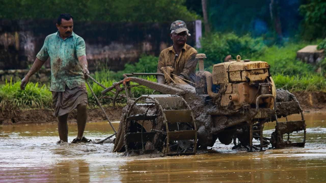 Farmers cultivating a paddy field in Kerala. Unsplash