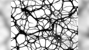 What is excitotoxicity, and what does it have to do with Huntington's disease?