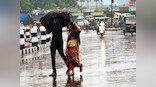 Parts of Maharashtra likely to witness post-monsoon rains, thunderstorms till 7 November, says IMD