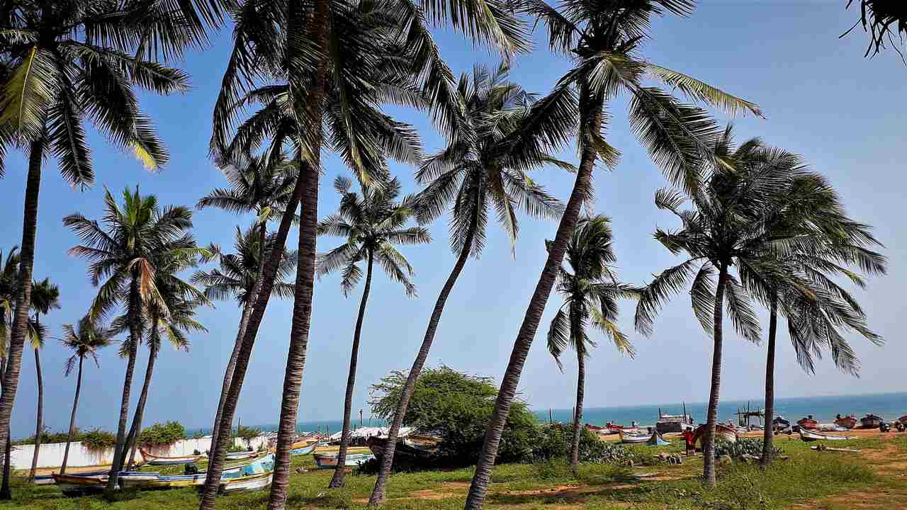 tropic ocean water india 