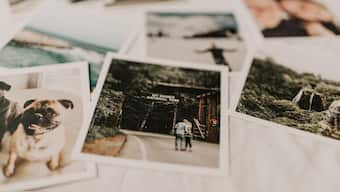 World Alzheimer's Day 2019: Everything we know, don’t know and suspect about Alzheimer’s disease
