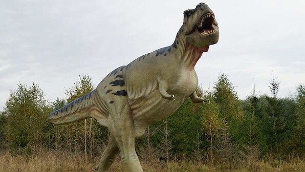 T-Rexs had mini air conditioners in their head, to help cool down their bodies