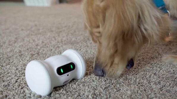 IFA 2019: From fitness robot for pets to Kirin 990 5G SoC, five most popular launches