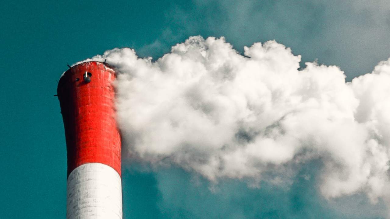 Coronavirus will cause the biggest fall in CO2 emissions since WWII but won't stop climate change: WMO Coronavirus will cause the biggest fall in CO2 emissions since WWII but won't stop climate change: WMO