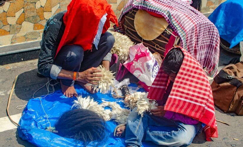 A group of dhaakis putting the decorative feathers on their dhaaks