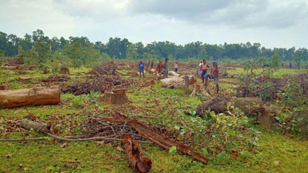 Trees being cut down for an earmarked open cast coal mine in the Hasdeo Arand region of Korba district which is also a good habitat for elephants. Photo by Asha Verma.