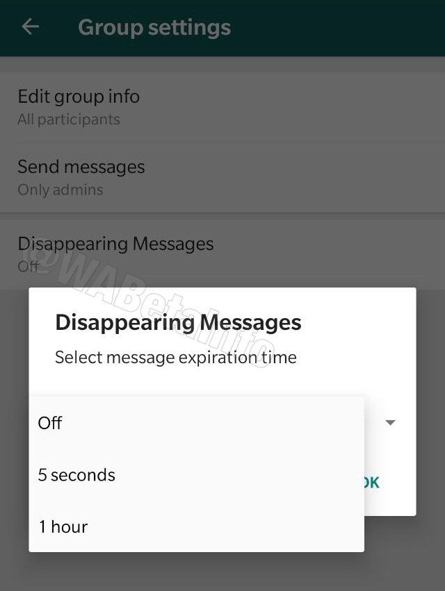 Users might be able t choose the time span after which they want the chat to be deleted. Image: WABetaInfo