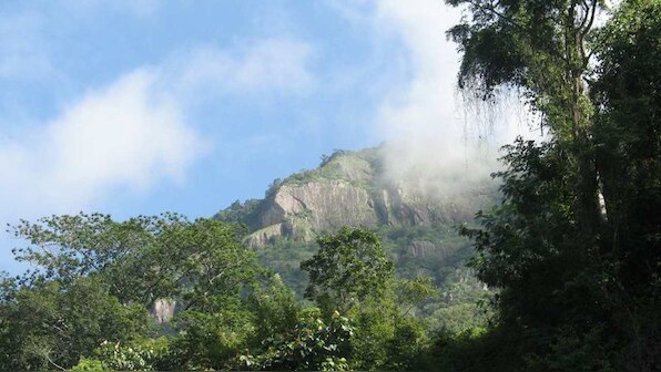 Hills of peril: Southwest monsoon inflicts severe damage in the Nilgiris