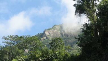 Hills of peril: Southwest monsoon inflicts severe damage in the Nilgiris