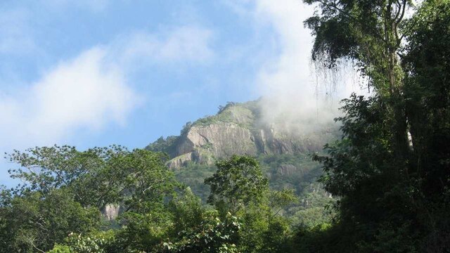 Hills of peril: Southwest monsoon inflicts severe damage in the Nilgiris Hills of peril: Southwest monsoon inflicts severe damage in the Nilgiris