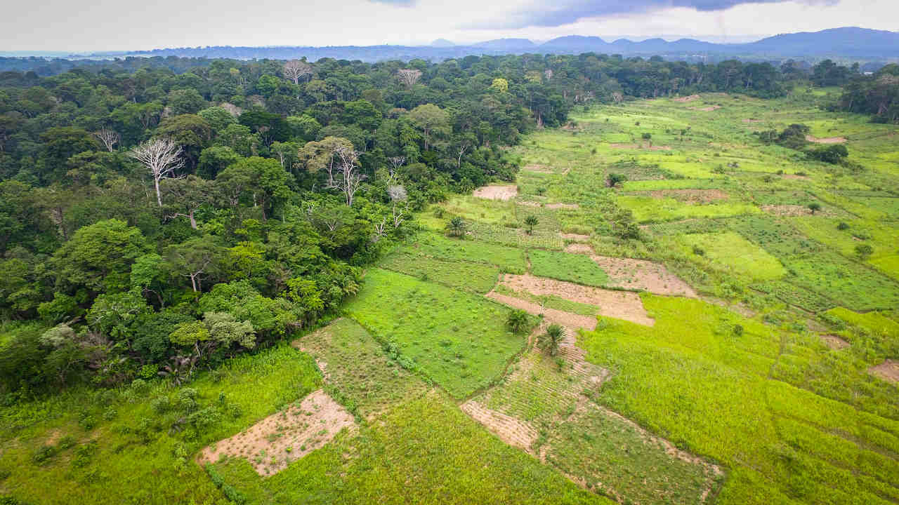 Aerial view of a Transition Forest area in Bokito, Cameroon. Image credit: Flickr/Mokhamad Edliadi/CIFOR