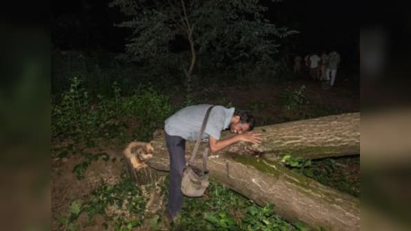 Movement to Save Aarey forest: Effects of climate change need nuanced interventions, afforestation isn't enough