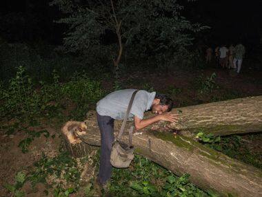 Movement to Save Aarey forest: Effects of climate change need nuanced interventions, afforestation isn't enough