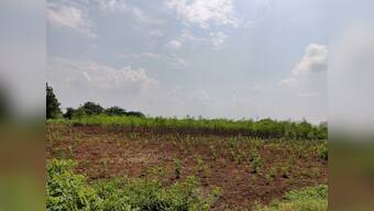 Only 39% of crop loan disbursement target met in poll-bound Aurangabad; farmers seek private lenders as banks, political parties play blame game