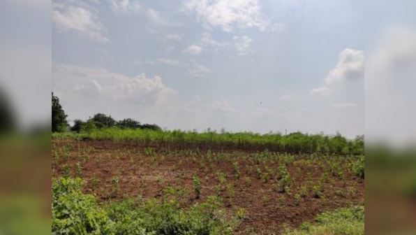 Only 39% of crop loan disbursement target met in poll-bound Aurangabad; farmers seek private lenders as banks, political parties play blame game