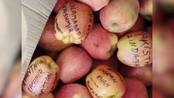 Kashmiri apples with anti-India, pro-Pakistan slogans written on them found in Kathua fruit market; police say inquiry on
