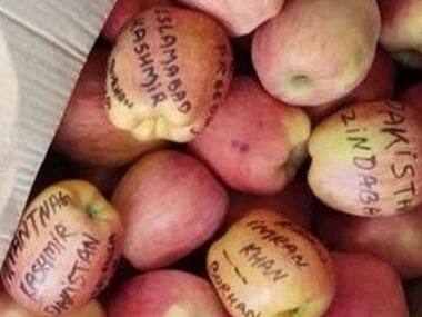 Kashmiri apples with anti-India, pro-Pakistan slogans written on them found in Kathua fruit market; police say inquiry on