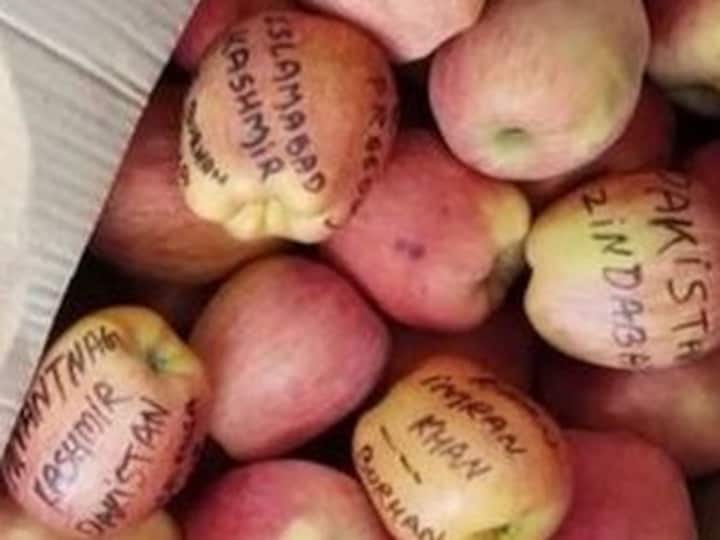 Kashmiri apples with anti-India, pro-Pakistan slogans written on them found in Kathua fruit market; police say inquiry on
