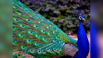 Do we possess our possessions or do they possess us?