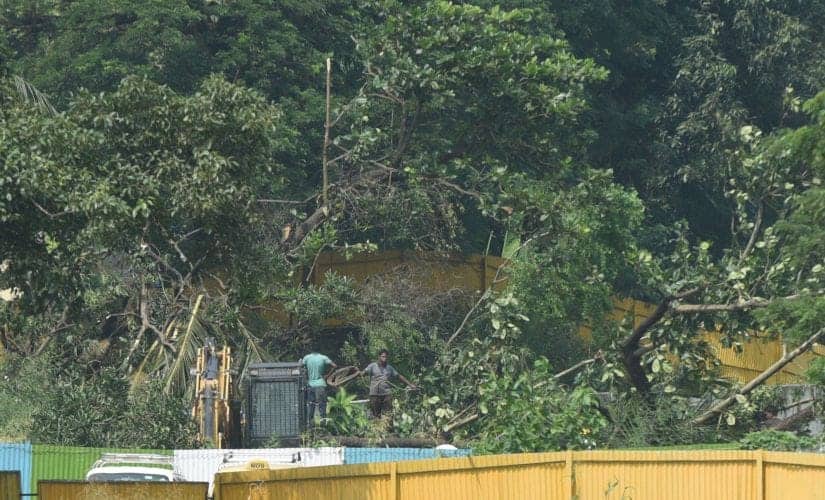 An excavator is pictured next to cut down trees at the construction site of a metro train car shed in the Aarey colony. Getty Images