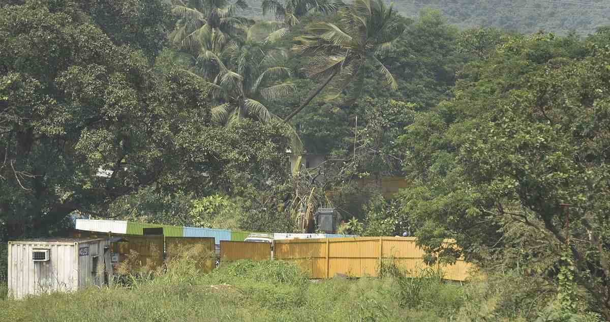 Mumbai Aarey Forest protests Updates: AAP’s Preeti Sharma Menon slams felling of 1,800 trees, says Shiv Sena only ‘tweeting about issue’