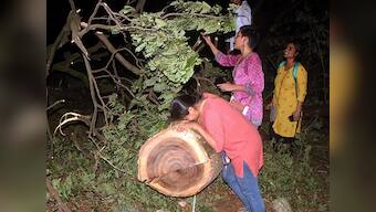 Mumbai Aarey Forest protests Updates: AAP's Preeti Sharma Menon slams felling of 1,800 trees, says Shiv Sena only 'tweeting about issue'