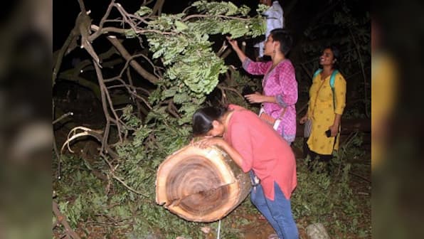 Mumbai Aarey Forest protests Updates: AAP's Preeti Sharma Menon slams felling of 1,800 trees, says Shiv Sena only 'tweeting about issue'