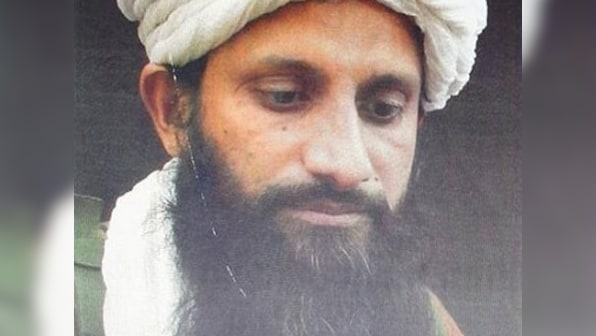 Slain Al-Qaeda chief Asim Umar was Uttar Pradesh village boy who became best-selling jihadist pulp-fiction writer