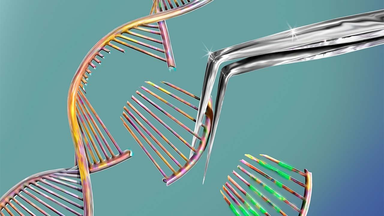 Powerful new gene editing tool adapted from CRISPR-Cas9 can make larger ...