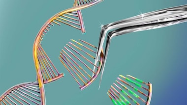 CRISPR gene editing can cause unwanted changes in human embryos, study finds