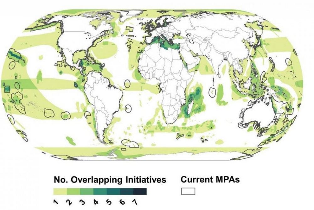 Most of the important marine areas identified by scientists aren't located inside marine protected areas. Image credit: Stony Brook University