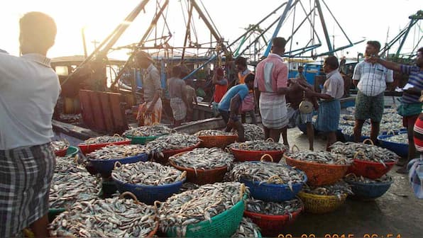 Wildlife Week 2019: Indian fisherfolk transitioning away from tradition is affecting fisheries nationwide