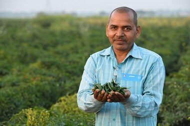 From improving yield to generating steady income, technology is changing the game for small farmers in UP and Jharkhand