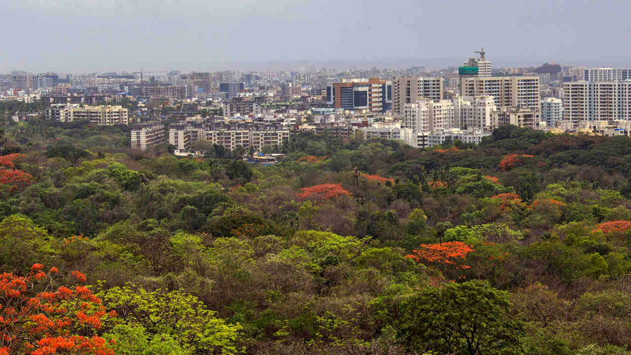 Felling of trees in Aarey 'forest' fires up Mumbai’s poll scene dividing the city in two Felling of trees in Aarey 'forest' fires up Mumbai’s poll scene dividing the city in two