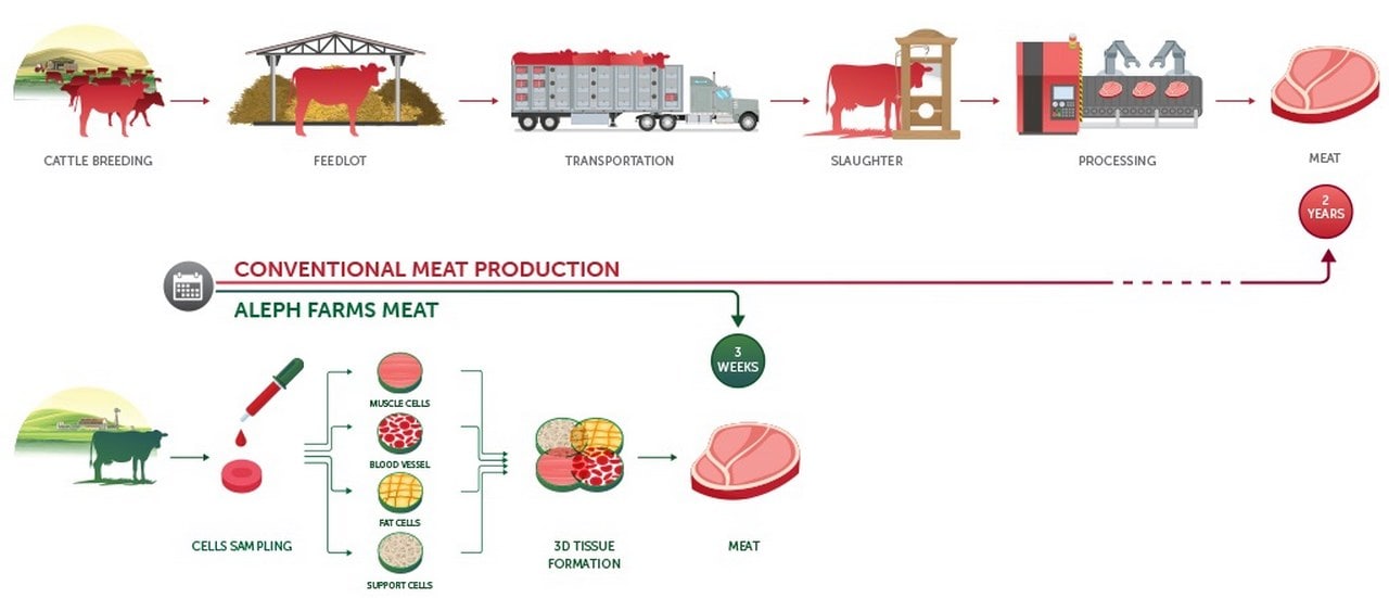 The process of three-dimensional printing of meat. credit image: Aleph Farms