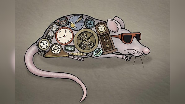 Our skin can keep track of time without any help from the brain, study suggests