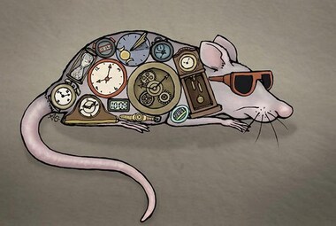 Our skin can keep track of time without any help from the brain, study suggests