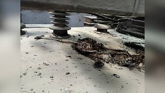 Pantograph of Mumbai's CSMT-Panvel local catches fire at Vashi station after man throws bag at overhead cables; no injury reported