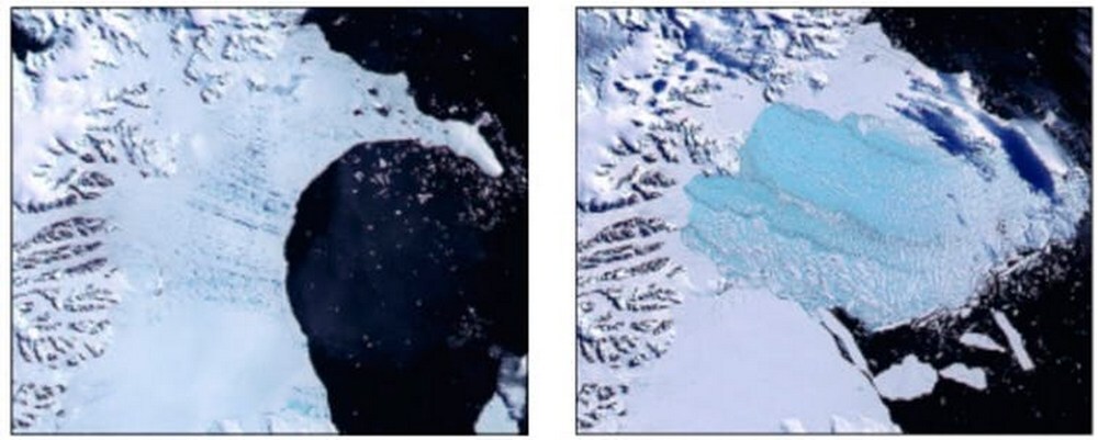 Blue meltwater ponds cover the surface of Larsen B Ice Shelf in January 2002 (left) before its abrupt collapse two months later (right). Open ocean appears as black in both images. image credit: NASA/Goddard Space Flight Center