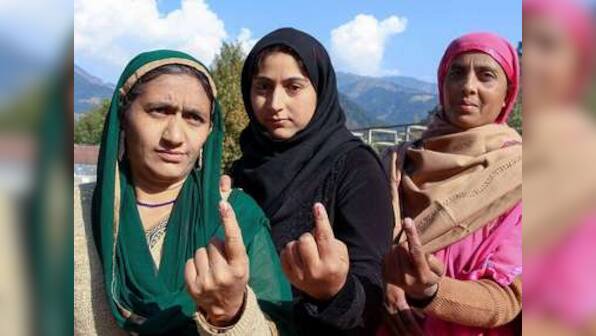 Jammu and Kashmir BDC election results: Independents win big as BJP's battle cry on Article 370 fails to resonate with voters