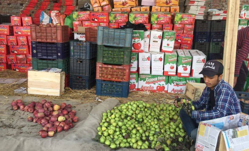 After the markets in Shopian were closed, packers are using makeshift spaces around the Mandi to pack apples. Firstpost/Quratulain Rehbar