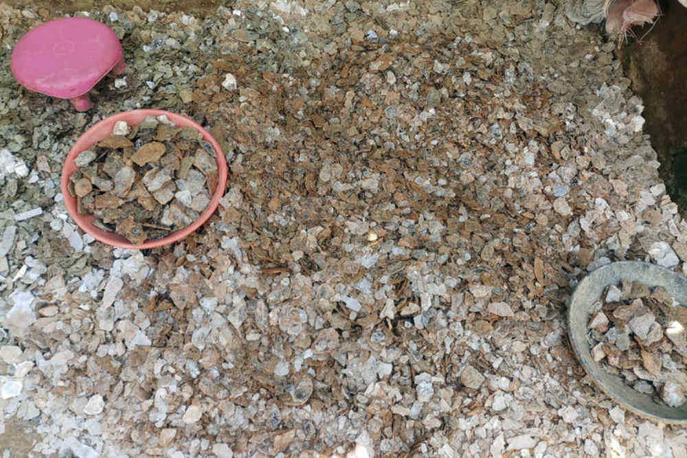 Mica is used in cosmetic products, paints and electronics. Image credit: Gurvinder Singh.