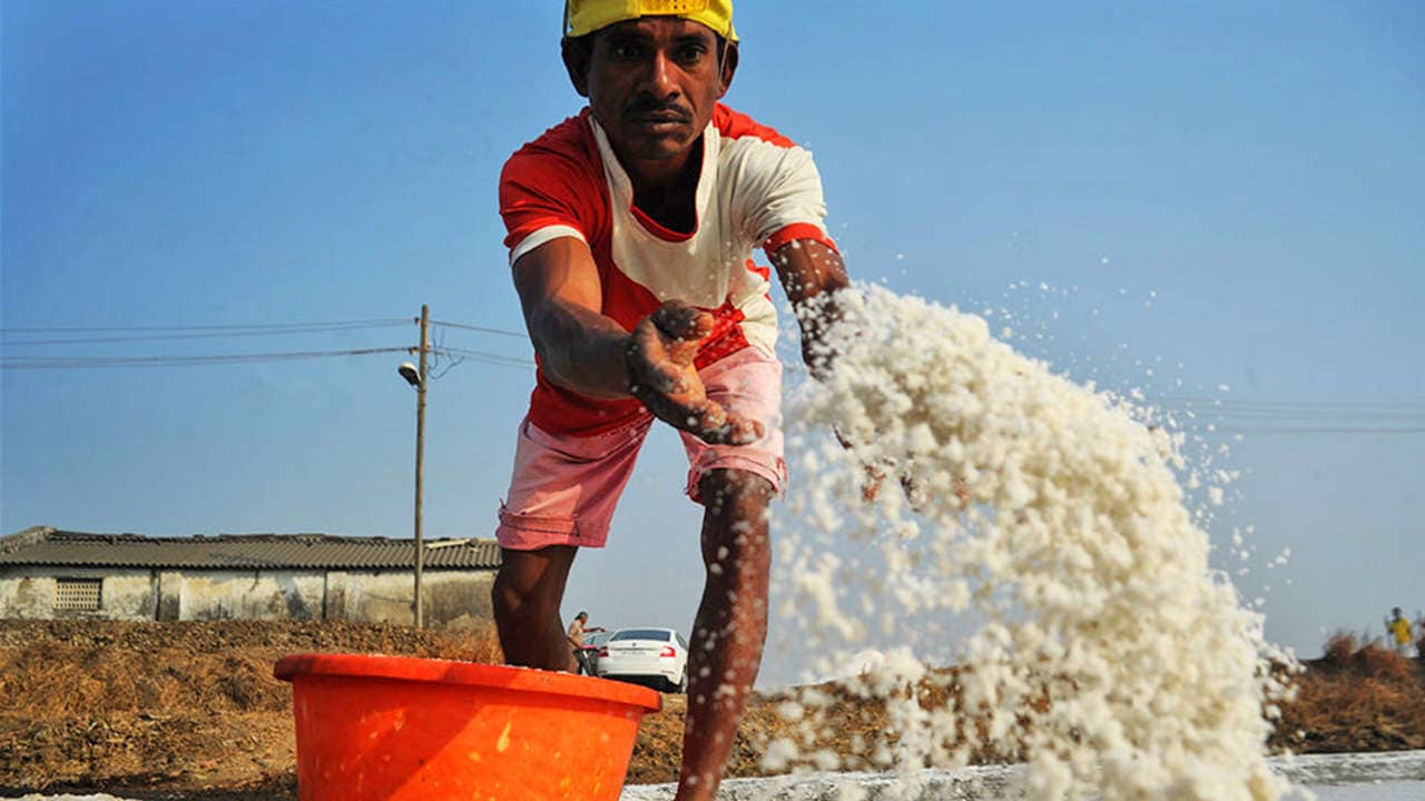  A worker at a salt pan. image credit: Uday Tadphale.