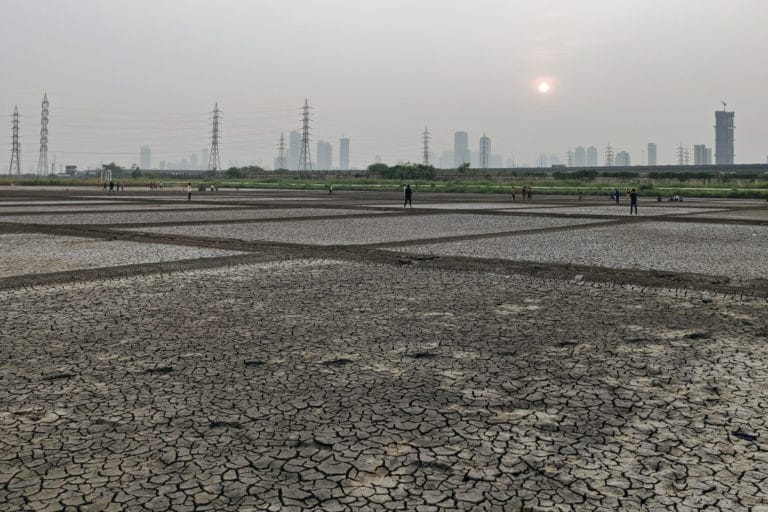 The Bharatiya Janata Party has already cleared its intentions to open up the salt pans for real estate development while their ally Shiv Sena is strictly against it. image credit: Swayam Khanna.
