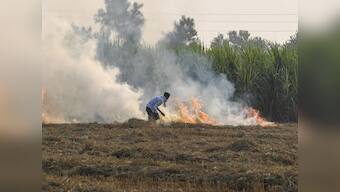Administration in Haryana’s Fatehabad asks agriculture department to lodge FIR against farmers for setting crop residue on fire