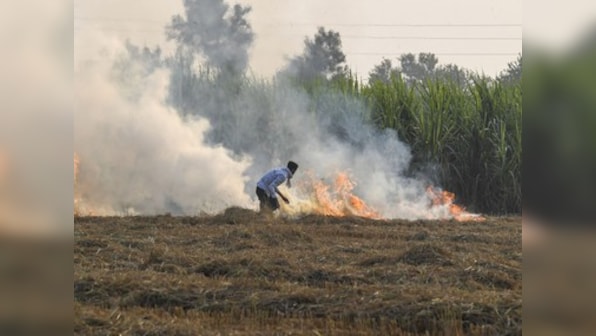Administration in Haryana’s Fatehabad asks agriculture department to lodge FIR against farmers for setting crop residue on fire