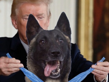 Donald Trump tweets faked photo of heroic dog from Abu Bakr al-Baghdadi raid receiving a medal Donald Trump tweets faked photo of heroic dog from Abu Bakr al-Baghdadi raid receiving a medal